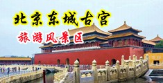 操逼视频黄色5P中国北京-东城古宫旅游风景区